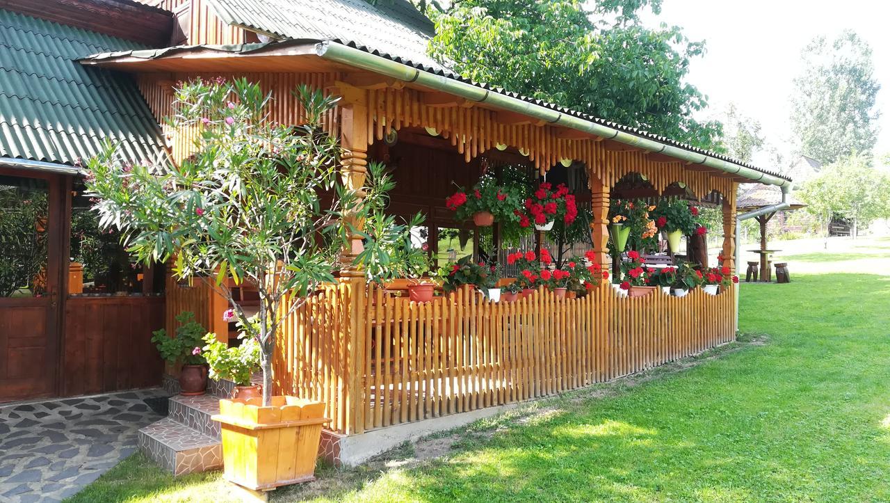 Pensiunea Maria Rohia Bagian luar foto